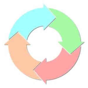 PNEI processo ciclico