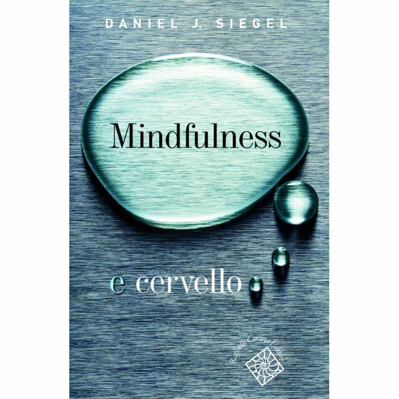Mindfulness e cervello: cosa cambia davvero secondo le neuroscienze (e Daniel Siegel)