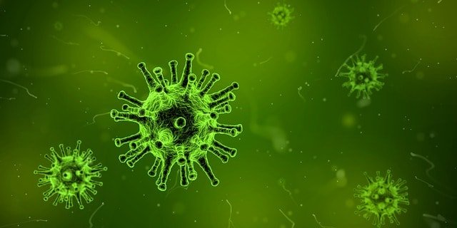 Relazione medico-paziente: perché la diagnosi è già cura