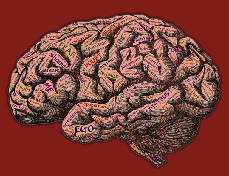 Dal tempo dell’amore al tempo dell’odio: perché odiamo (anche online)