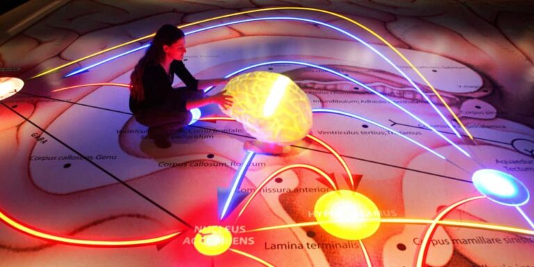 Cosa rende felice il cervello (e perché a volte dovremmo fare il contrario)